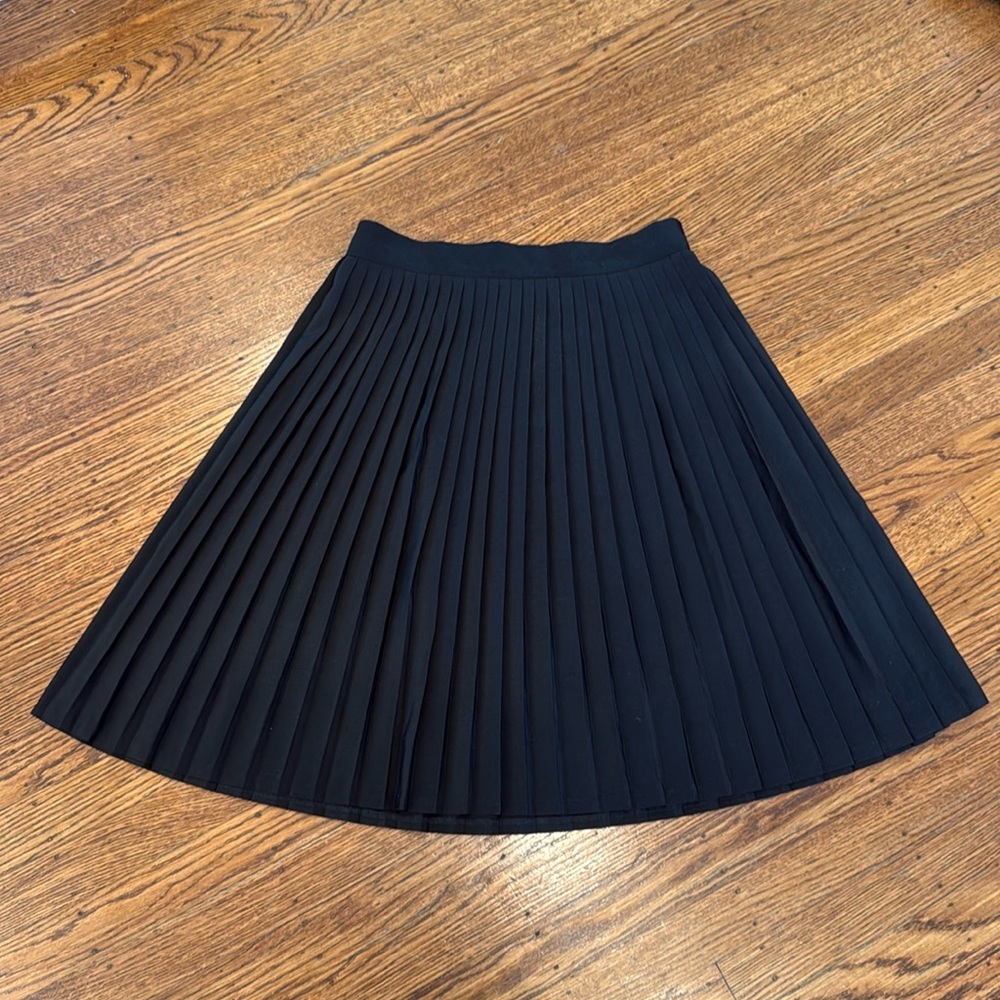 Black American Apparel Pleated Skirt